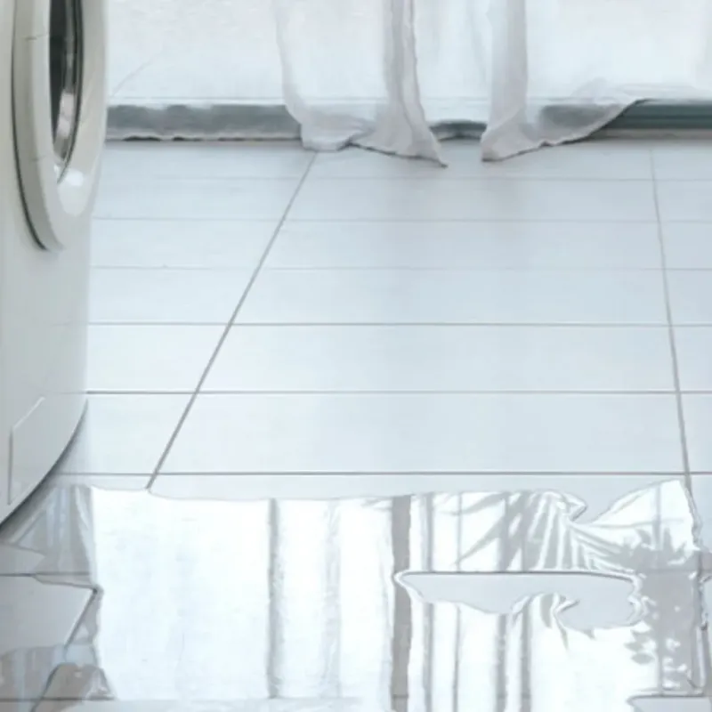 Appliance Leak Cleanup in Mansfield, LA