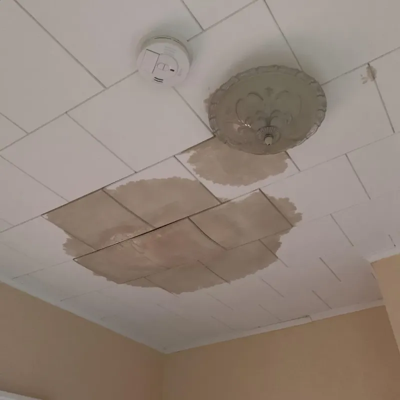 Ceiling Water Damage Repair in Mansfield, LA